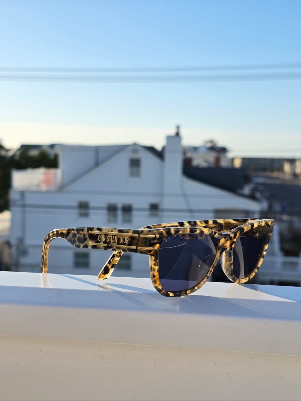 DiorSignature S6U Sunglasses